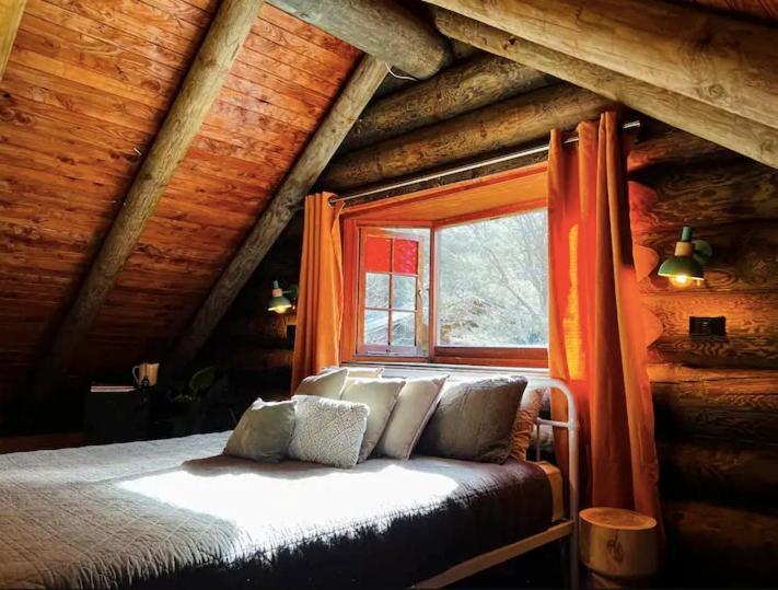 Coromandel Secluded Log Cabin Retreat Hikuai Eksteriør billede